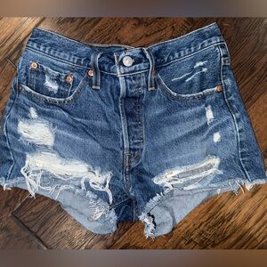Levi's 501 Denim Distressed Cutoff Shorts, Button Fly size 27